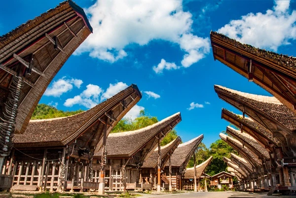 Eksplor Tana Toraja: Pesona Budaya dan Keindahan Alam yang Tak Terlupakan