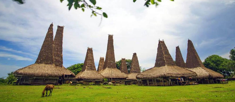 Menjelajah Desa Adat Ratenggaro, Ikon Wisata Budaya Eksotis Indonesia